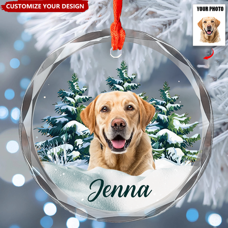 Personalisiertes Foto-Hundeglasornament für Weihnachten